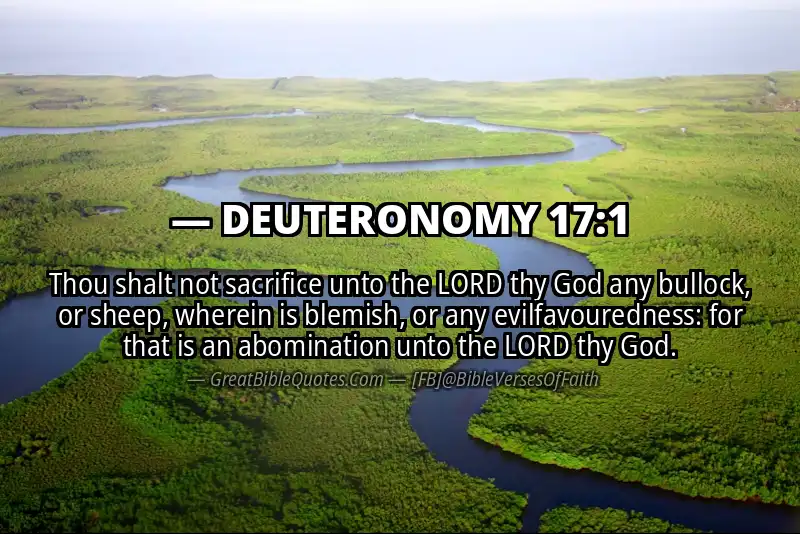 DEUTERONOMY 17:1 Verse
