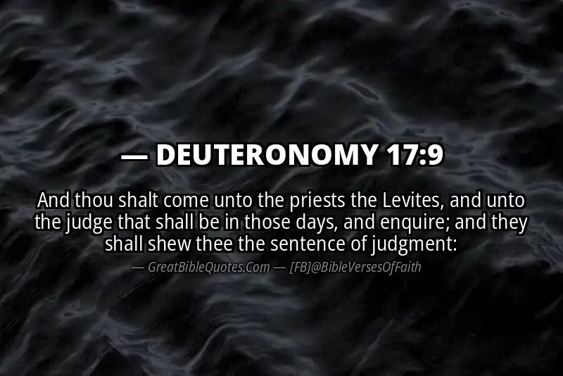 DEUTERONOMY 17:9 Verse
