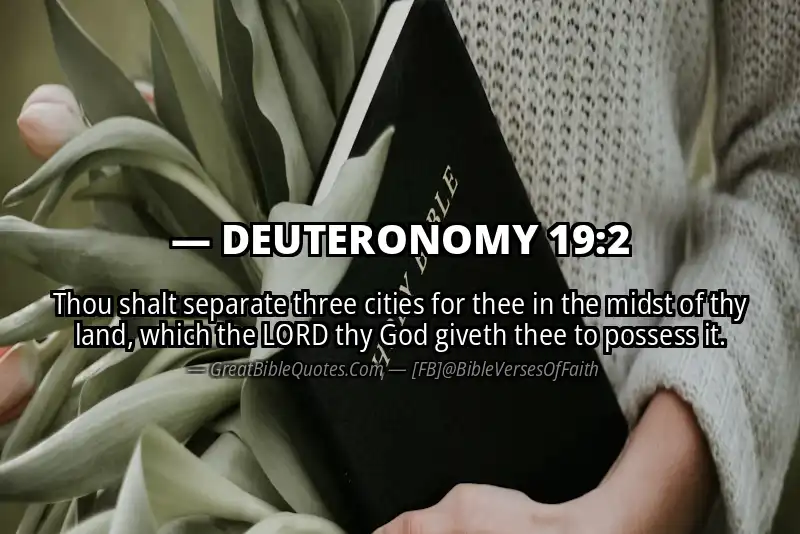 DEUTERONOMY 19:2 Verse Image