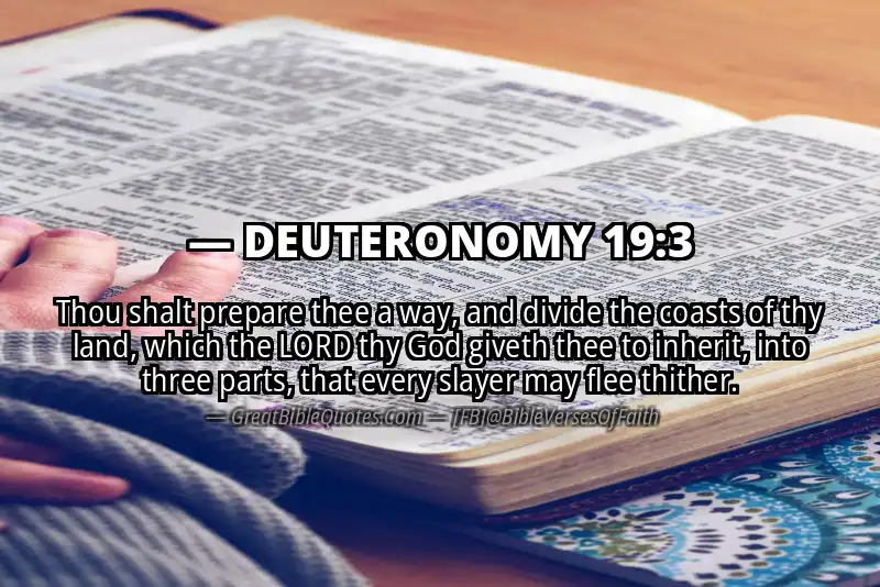 DEUTERONOMY 19:3 Verse