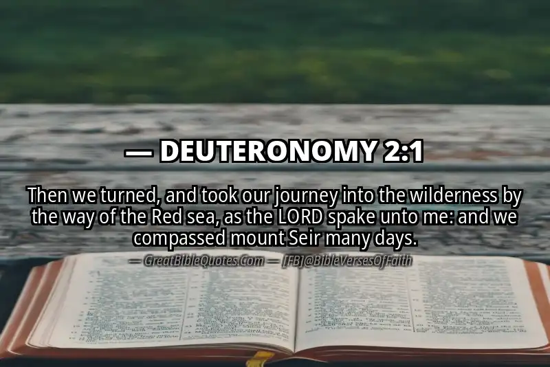 Bible verse: DEUTERONOMY 2:1 Image
