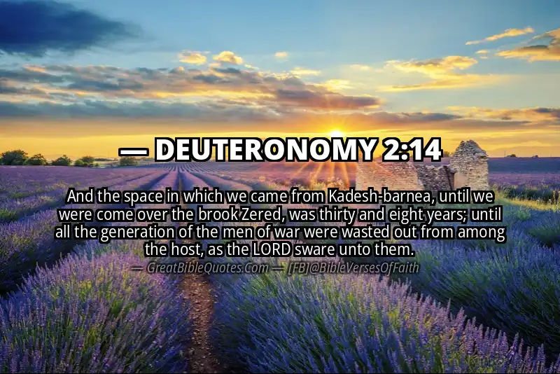 DEUTERONOMY 2:14 Verse