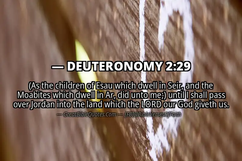 DEUTERONOMY 2:29 Verse