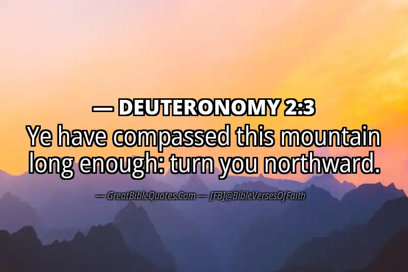 DEUTERONOMY 2:3 Verse Image