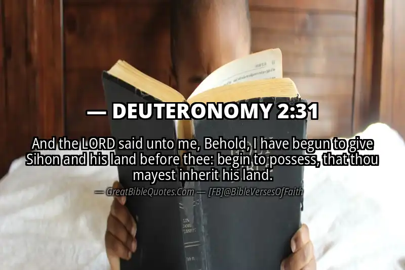 DEUTERONOMY 2:31 Verse