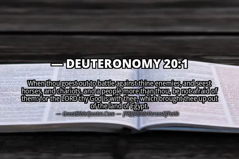 DEUTERONOMY 20:1 Verse Image