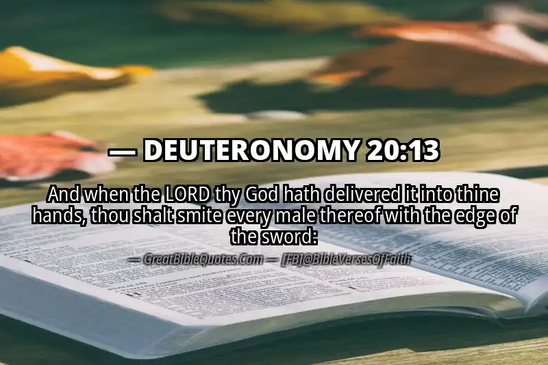 DEUTERONOMY 20:13 Verse