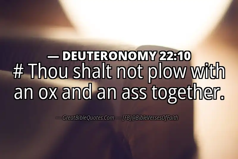 DEUTERONOMY 22:10 Verse