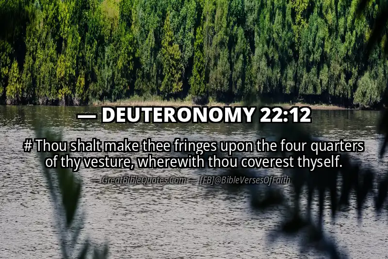 DEUTERONOMY 22:12 Verse