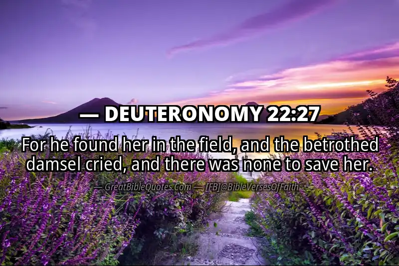 DEUTERONOMY 22:27 Verse