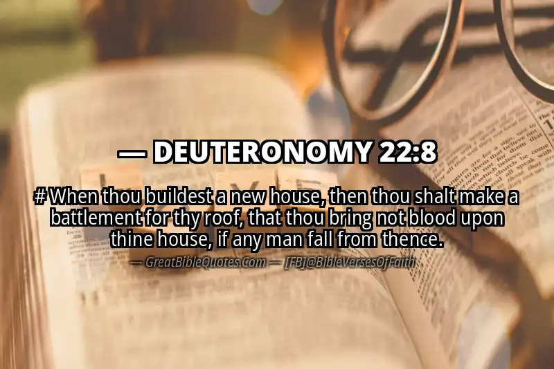 DEUTERONOMY 22:8 Verse