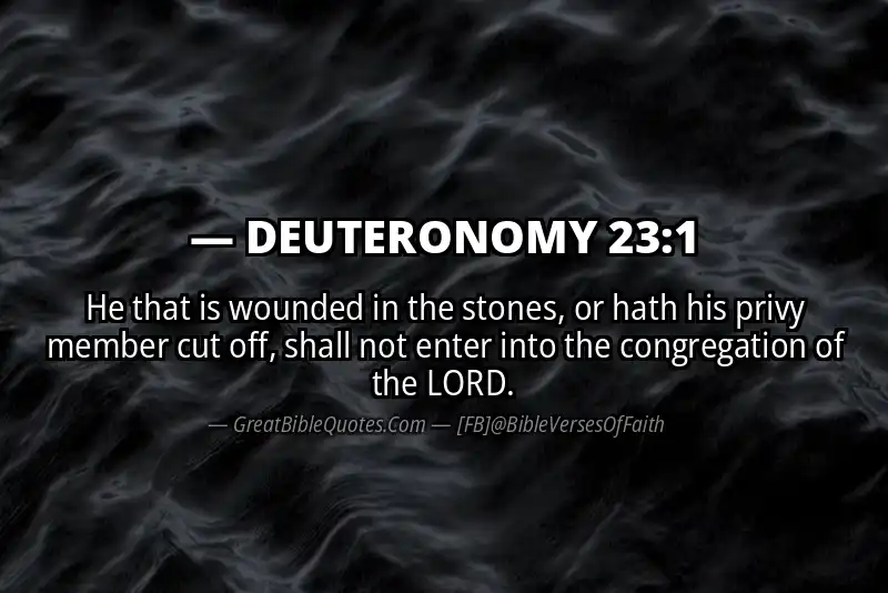 DEUTERONOMY 23:1 Verse