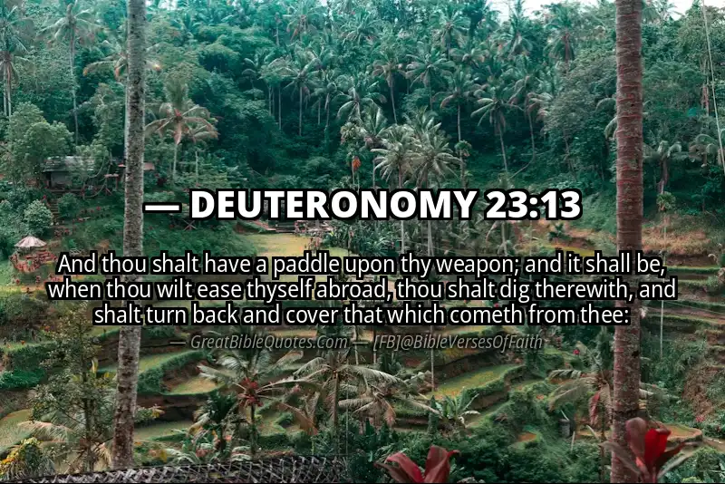 DEUTERONOMY 23:13 Verse