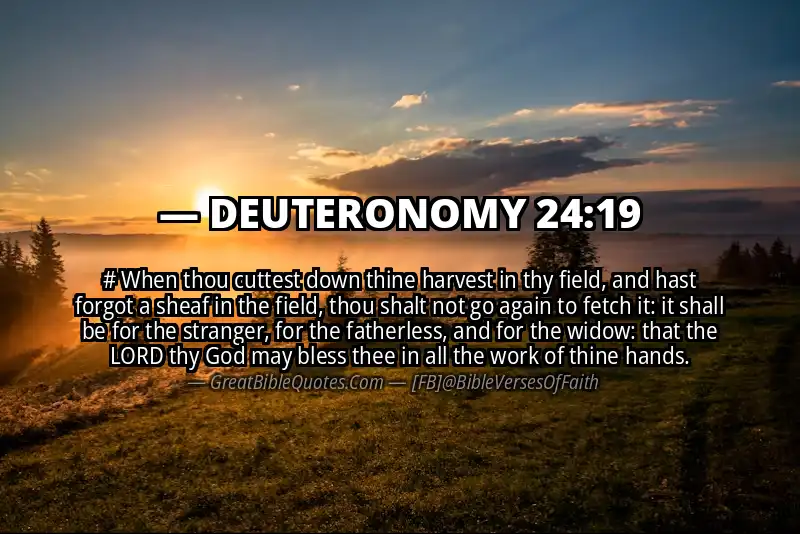 DEUTERONOMY 24:19 Verse
