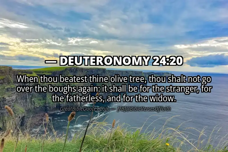 DEUTERONOMY 24:20 Verse