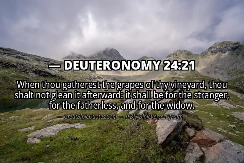 DEUTERONOMY 24:21 Verse