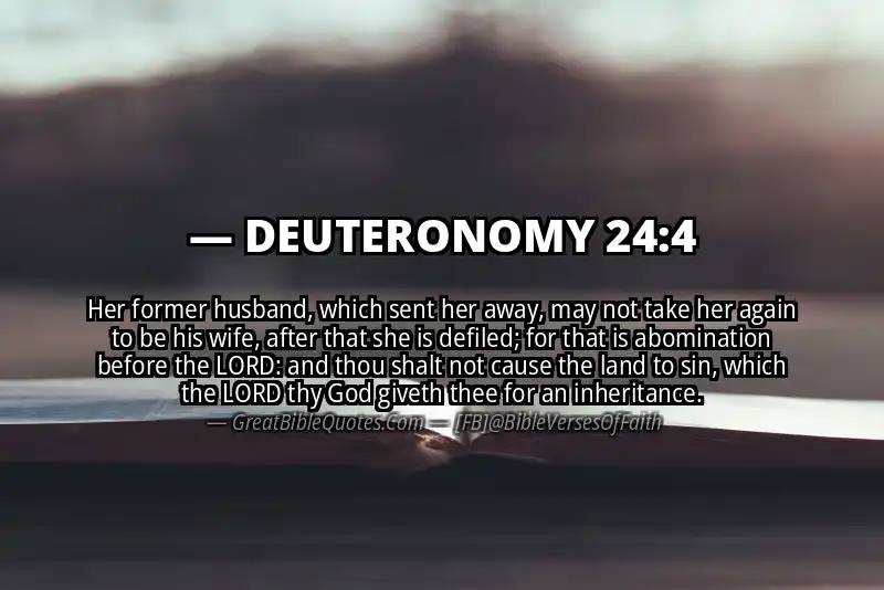 DEUTERONOMY 24:4 Verse