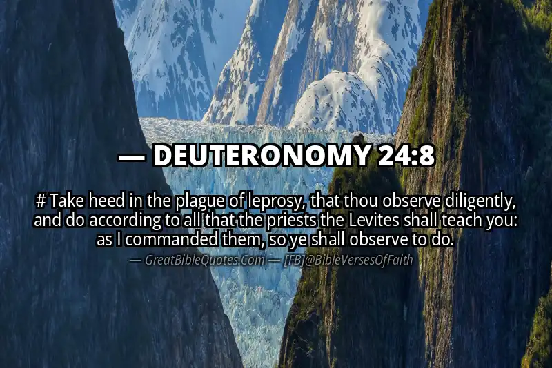 DEUTERONOMY 24:8 Verse