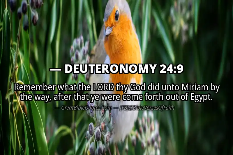 DEUTERONOMY 24:9 Verse