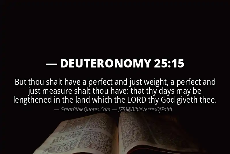 DEUTERONOMY 25:15 Verse
