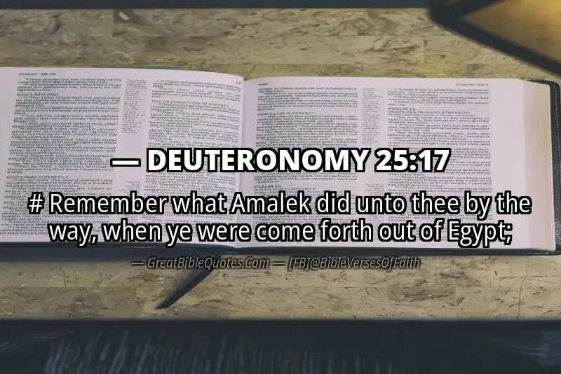 DEUTERONOMY 25:17 Verse