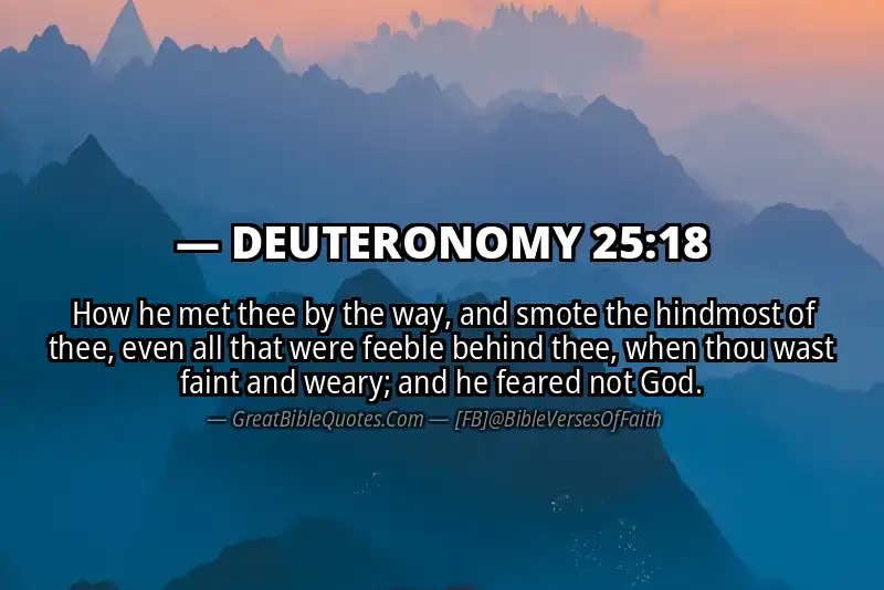 DEUTERONOMY 25:18 Verse