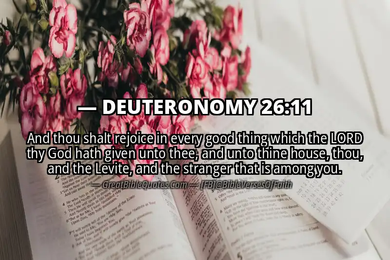 DEUTERONOMY 26:11 Verse