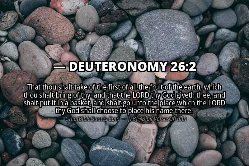 DEUTERONOMY 26:2 Verse