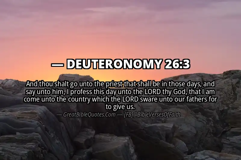 DEUTERONOMY 26:3 Verse Image
