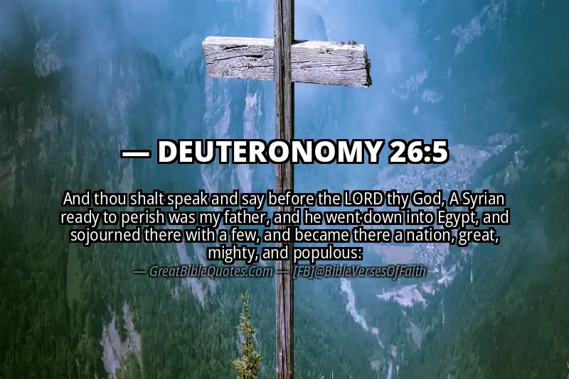 DEUTERONOMY 26:5 Verse