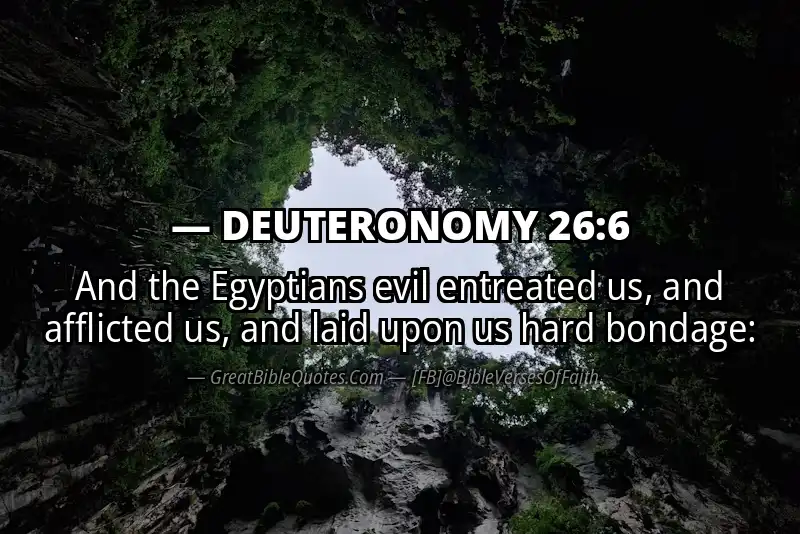 DEUTERONOMY 26:6 Verse