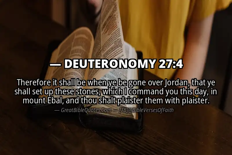 DEUTERONOMY 27:4 Verse