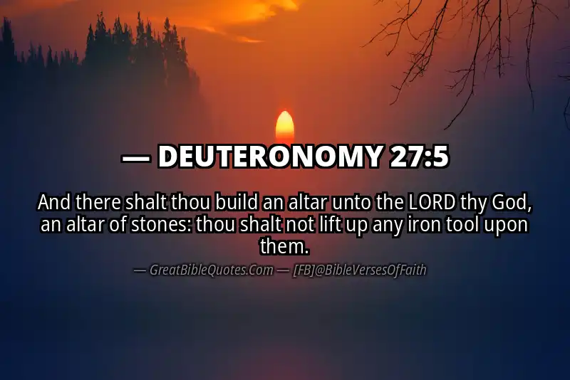 DEUTERONOMY 27:5 Verse