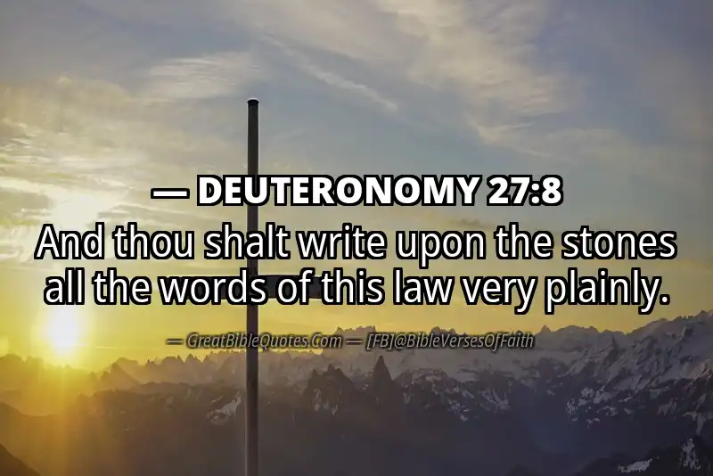 DEUTERONOMY 27:8 Verse