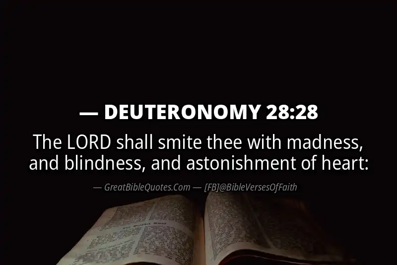 DEUTERONOMY 28:28 Verse