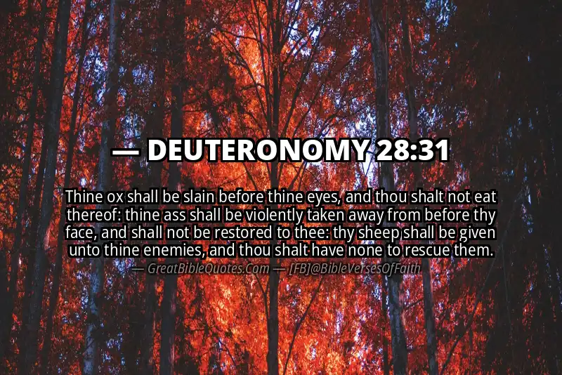 DEUTERONOMY 28:31 Verse