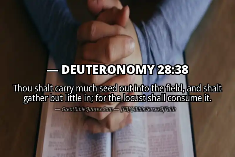 DEUTERONOMY 28:38 Verse