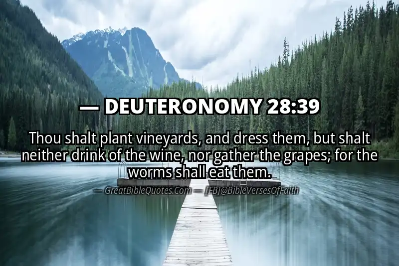 DEUTERONOMY 28:39 Verse