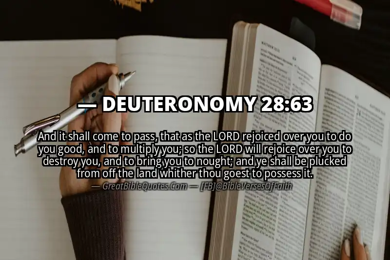 DEUTERONOMY 28:63 Verse