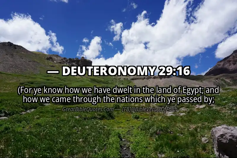 DEUTERONOMY 29:16 Verse