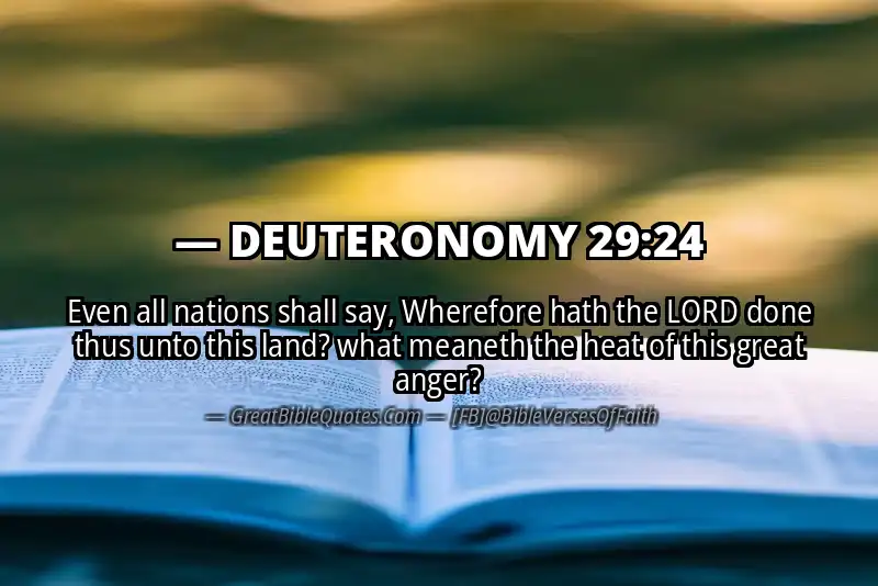 DEUTERONOMY 29:24 Verse