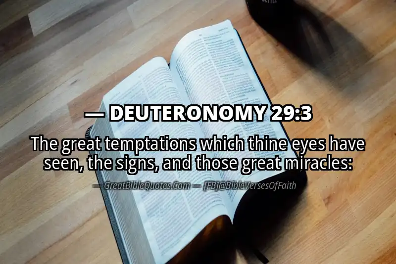 DEUTERONOMY 29:3 Verse
