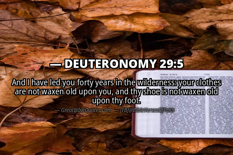 DEUTERONOMY 29:5 Verse