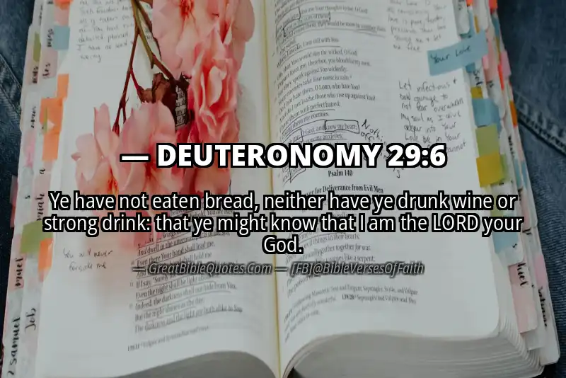 DEUTERONOMY 29:6 Verse