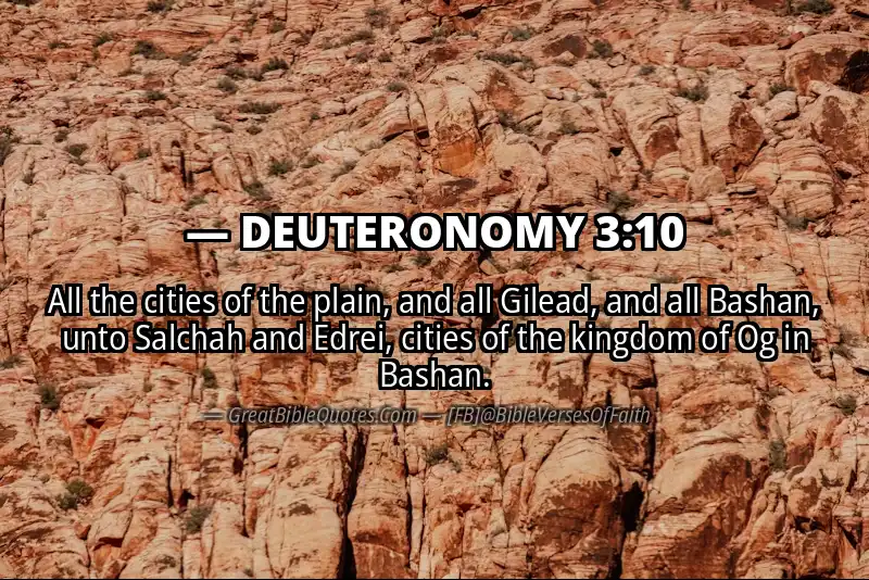 DEUTERONOMY 3:10 Verse