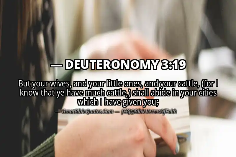 Bible verse: DEUTERONOMY 3:19 Image
