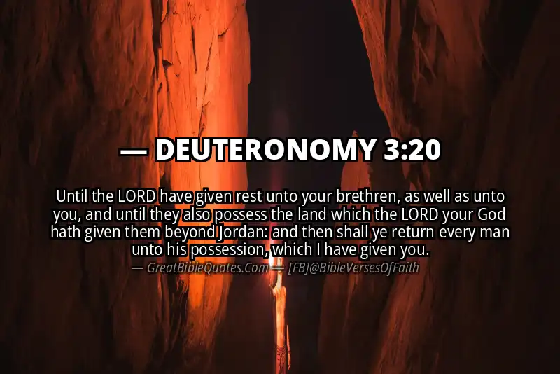 Bible verse: DEUTERONOMY 3:20 Image