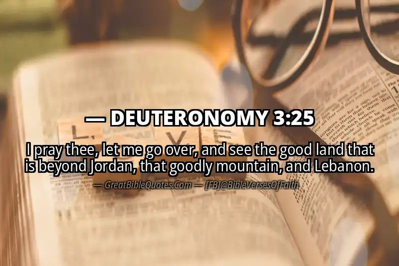 DEUTERONOMY 3:25 Verse