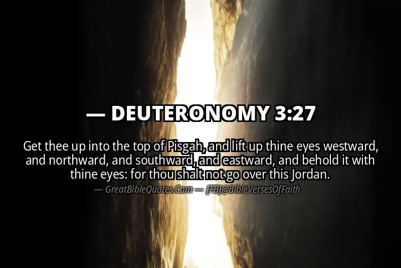 DEUTERONOMY 3:27 Verse