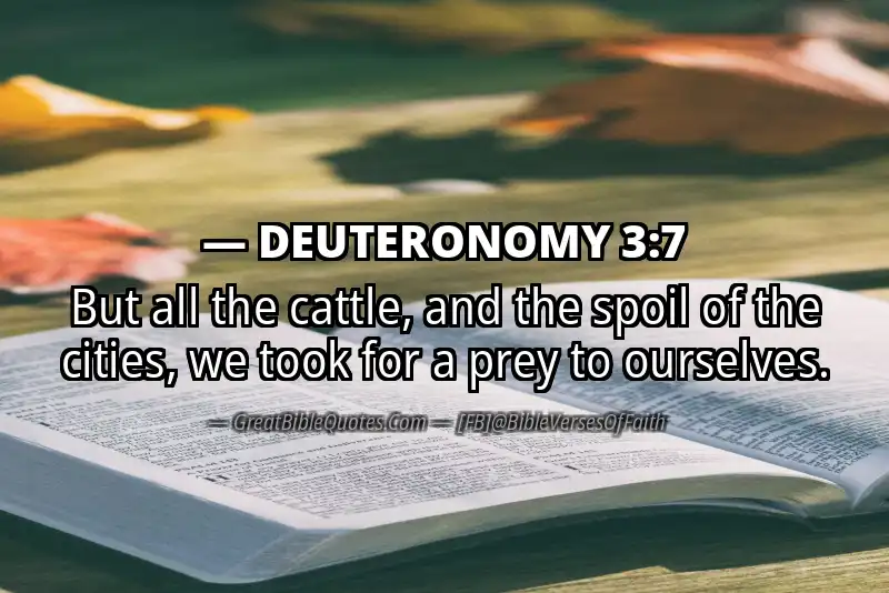 DEUTERONOMY 3:7 Verse